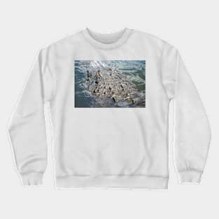 Gator Head Crewneck Sweatshirt